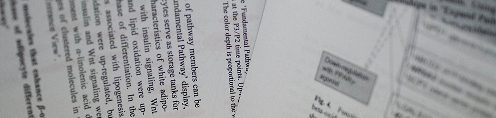 学術論文/研究成果