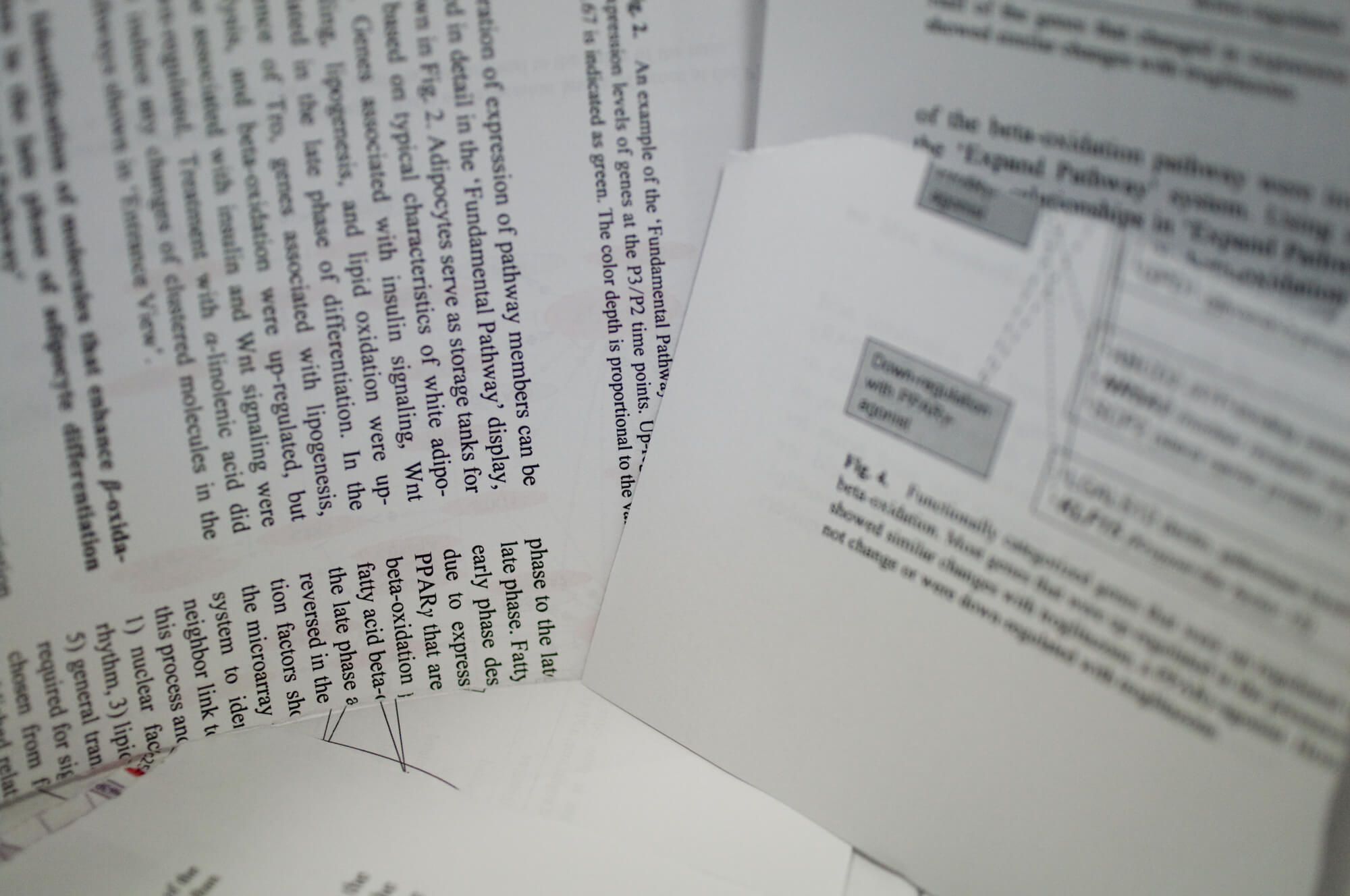 学術論文/研究成果